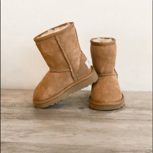 Uggs Toddler Classic II in Chestnut. Never Worn.
